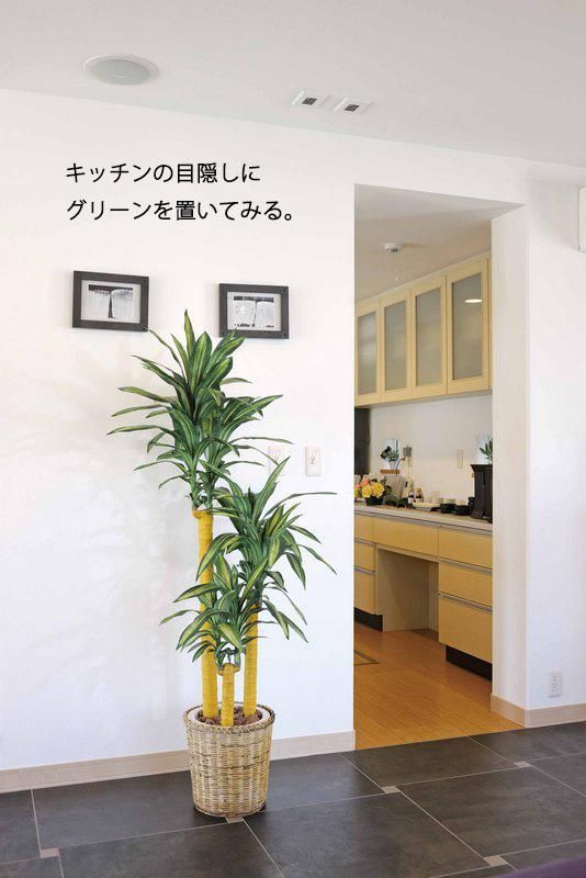 《光触媒観葉植物》カポック1.8〔フロアタイプ(ハイサイズ)〕