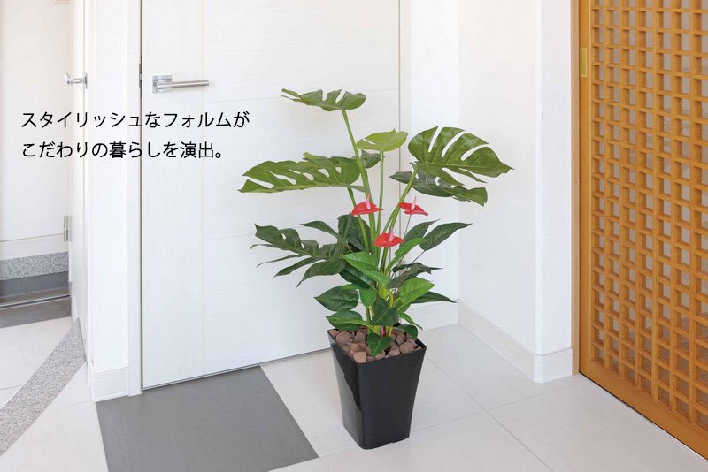 光触媒観葉植物 パキラ1 0 フロアタイプ ミドルサイズ 人気作品 絵画や壁掛け販売 日本唯一の風景専門店 R あゆわら