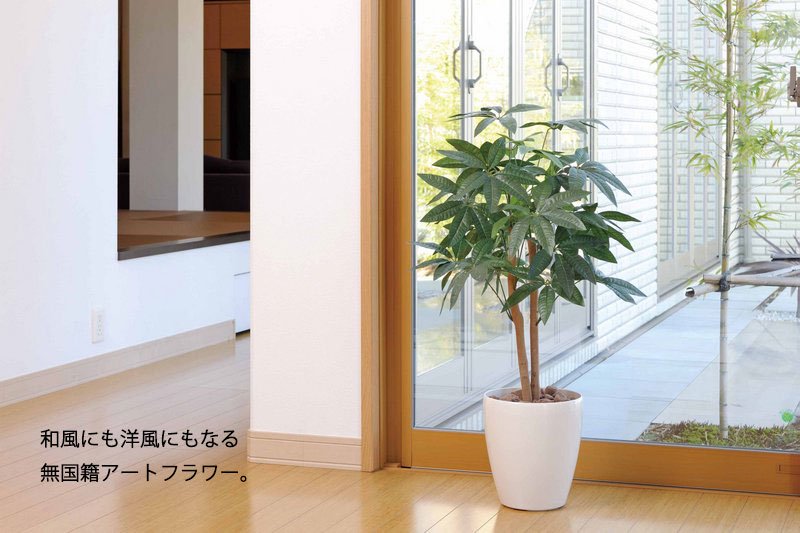 光触媒観葉植物 セローム90 フロアタイプ ミドルサイズ 絵画や壁掛け販売 日本唯一の風景専門店 R あゆわら