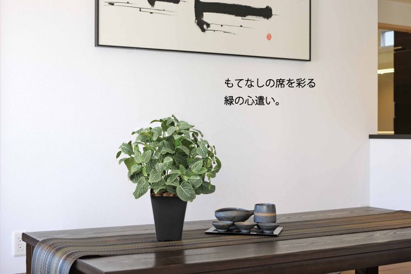光触媒観葉植物 テーブルバンブー テーブルタイプ 絵画や壁掛け販売 日本唯一の風景専門店 R あゆわら