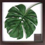 ԥ꡼եѥͥF-style Frame Monstera deliciosa I(󥹥ƥ ǥꥷ)