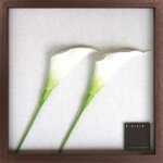 《リーフパネル》F-style Frame Anthurium /white(アンスリウム/ホワイト)