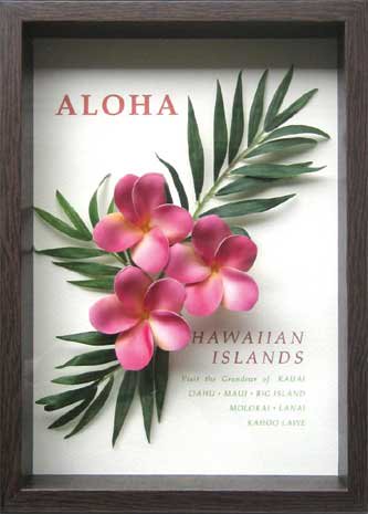 フラワーフレーム Aloha Frame Plumeria Pink アロハ フレーム プルメリア ピンク 絵画や壁掛け販売 日本唯一の風景専門店 R あゆわら