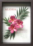 《フラワーフレーム》Aloha Frame Plumeria Pink(アロハ フレーム プルメリア ピンク)