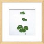 ԥȥե졼Amelie Vuillon Good Luck(  åɥå)(椦ѥå)