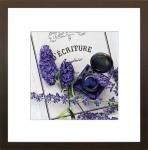 ԥȥե졼Catherine Beyler  饤ƥ  ե(椦ѥå)