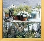ԥȥե졼Bertrand Limbour Flower Pots( եݥå)(椦ѥå)