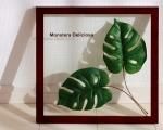 ԥ꡼եѥͥForest Deco Monstera Deliciosa2(󥹥ƥ ǥꥷ)