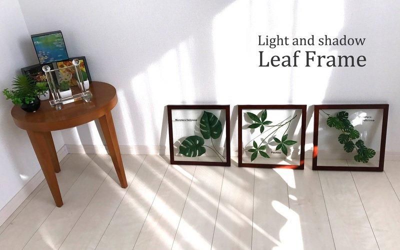 《リーフパネル》Forest Deco Fatsia Japonica(ヤツデ)