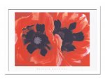 ԳGeorgia, O'Keeffe 硼  Oriental poppies, 1928(ꥨ󥿥 ݥԡ1928) L