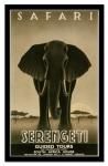 ԥȥե졼Steve Forney ƥ եˡ Serengeti(󥲥ƥ)