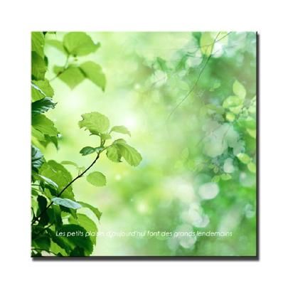 ¡Ô¥¢¡¼¥È¥Õ¥ì¡¼¥à¡ÕGreen Leaves¶(¥°¥ê¡¼¥ó¥ê¡¼¥Ö¥¹)