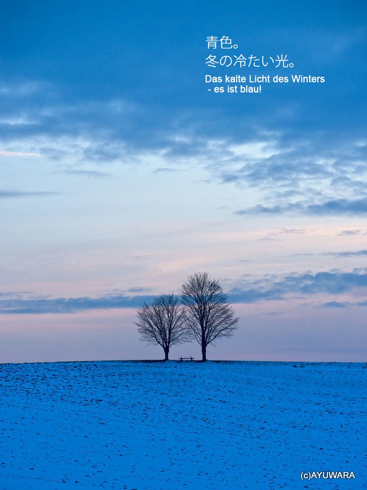 《アートフォトフレーム》冬2(Winter II 2013）〔ドイツ写真家/ガビー・ゾマー〕