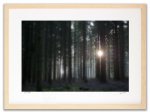 《アートフォトフレーム》11月の森(November Forest 2011)〔ドイツ写真家/ガビー・ゾマー〕