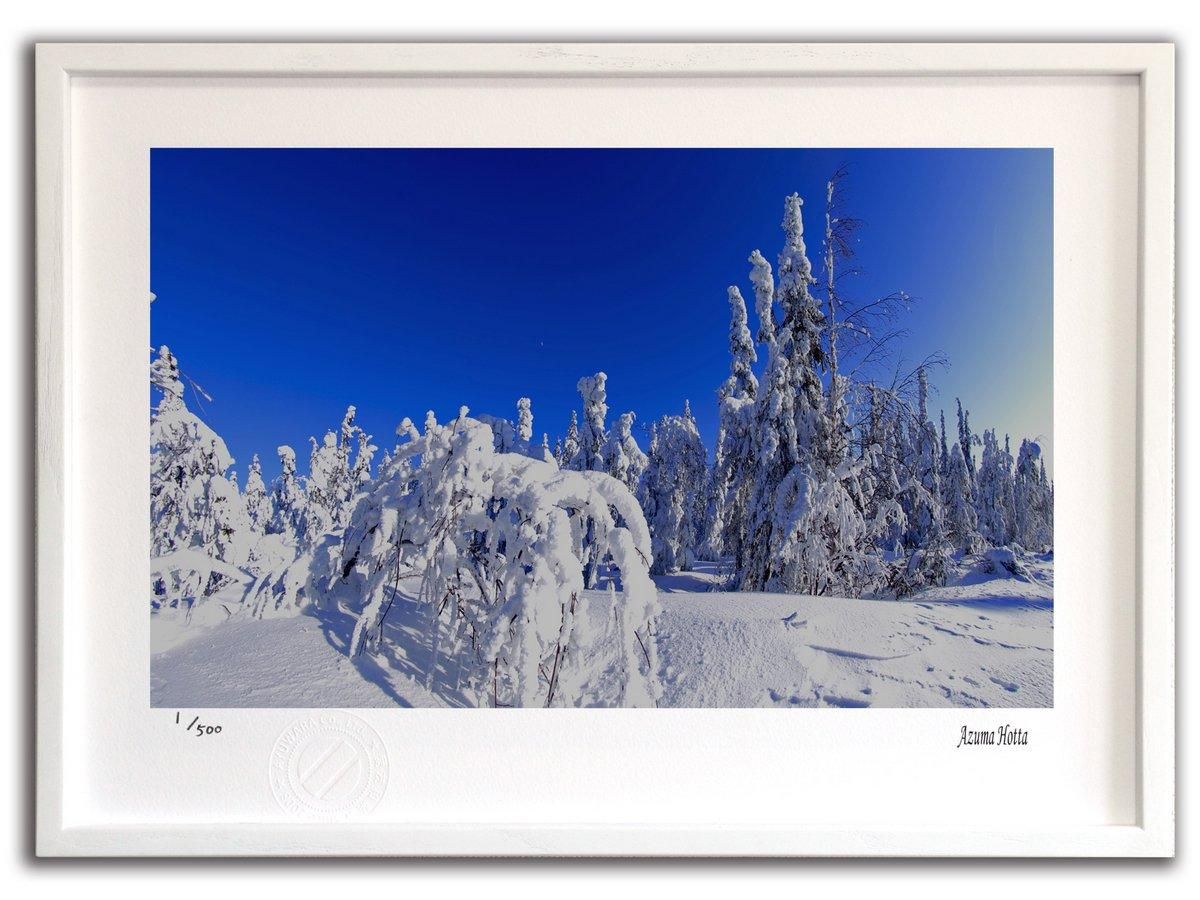 《ジクレー版画》北極圏の風景001 アラスカ〔オーロラ風景写真家/堀田東〕