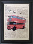 ԥȥե졼Marion McConaghie Butterfly London Bus