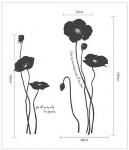 ԥ륹ƥåTemptation Black