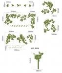 ԥ륹ƥåThrough the leaves Olive