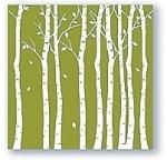 ԥХѥͥWhite Birch 