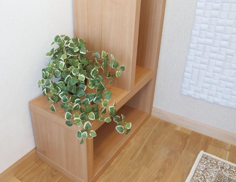 《光触媒観葉植物》フレッシュカラ−ジュ−ム〔テーブルタイプ〕