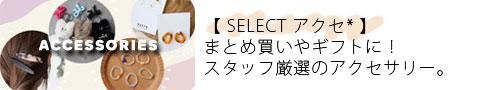 sucre쥯