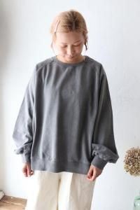 Veritecoeur(ƥ) VCC-525 Pigment dye åL/S