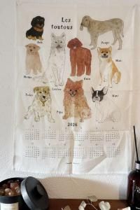 fog linen work(եͥ)2026 ͥ  襤 󤿤