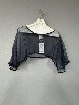 <img class='new_mark_img1' src='https://img.shop-pro.jp/img/new/icons13.gif' style='border:none;display:inline;margin:0px;padding:0px;width:auto;' />toujours  pure silk organza  cloth    pullover  sleeve  navy  F