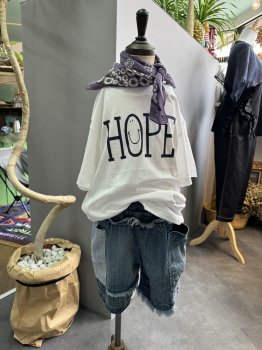 <img class='new_mark_img1' src='https://img.shop-pro.jp/img/new/icons13.gif' style='border:none;display:inline;margin:0px;padding:0px;width:auto;' />lapen  HOPE  white.navy  XXL