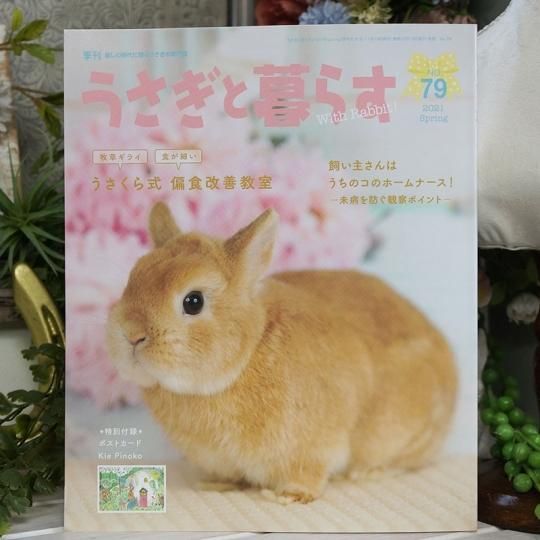 マガジンランド うさぎと暮らす No 79 京都 うさぎ専門店 うさぎ庵