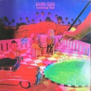 須藤薫 , Kaoru Sudoh - Amazing Toys [ LP ] - 中古・新品レコード