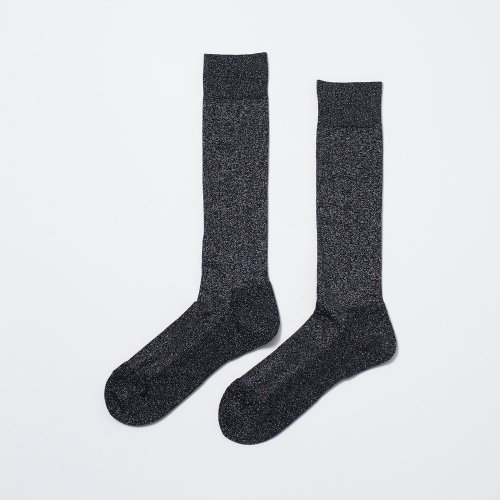 <img class='new_mark_img1' src='https://img.shop-pro.jp/img/new/icons8.gif' style='border:none;display:inline;margin:0px;padding:0px;width:auto;' />BED j.w. FORDGlitter Long socks(Silver)