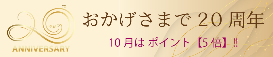 20ǯݥ5ܥڡ»