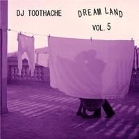 DJ TOOTHACHE aka TwiGy「Dream Land 5」MIX CD - TROOP RECORDS