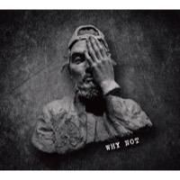 DUSTY HUSKY - WHY NOT (ダブル・ヴァイナル) DUSTY HUSKY / WHY NOT [2LP] | DLiP RECORDS OFFI