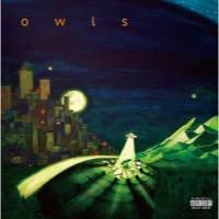 owls (GREEN ASSASSIN DOLLAR × rkemishi)「owls」CD - TROOP