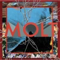 Color – Molt Grain – Vinyl (7