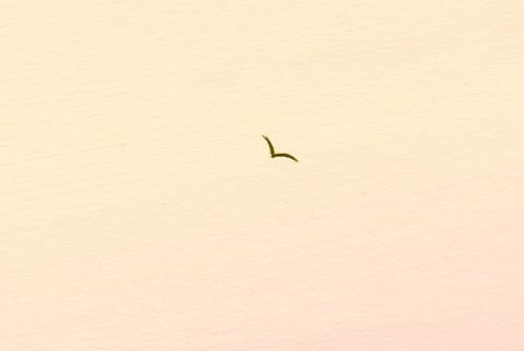 アートグラフ【朝もやの中で】大衣サイズ - 葉祥明美術館公式