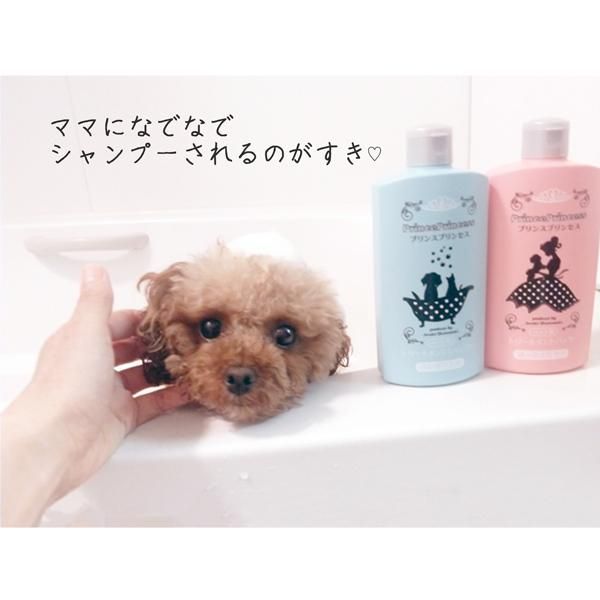 シャンプー&パック2本セット送料無料！【PrincePrincess】-犬