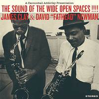 ★LPJames Clay And David 'Fathead' Newman / The Sound Of - VENTO AZUL RECORDS