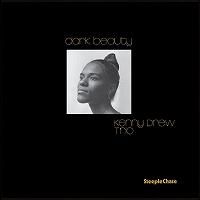 DARK BEAUTY / KENNY DREW TRIO レコード　LP 中古 ☆重量盤LP Kenny Drew Trio / Dark Beauty - VENTO AZUL RECORDS