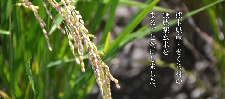 玄米粉500g｜熊本県産・農薬不使用栽培米を使用