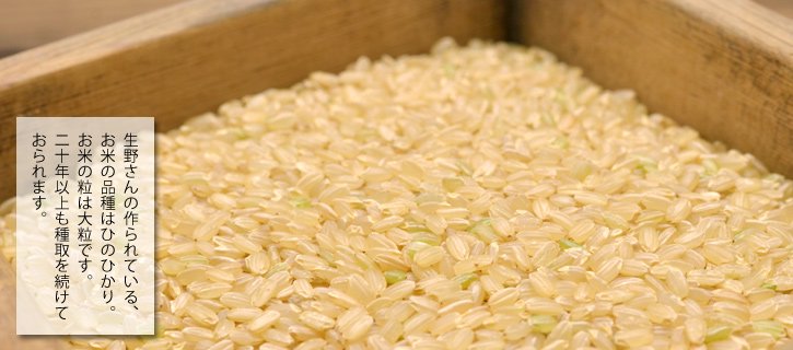 生野さんの自然栽培米・玄米の写真