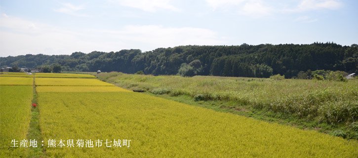 「元田旭一号」の生産地の菊池市七城町の写真
