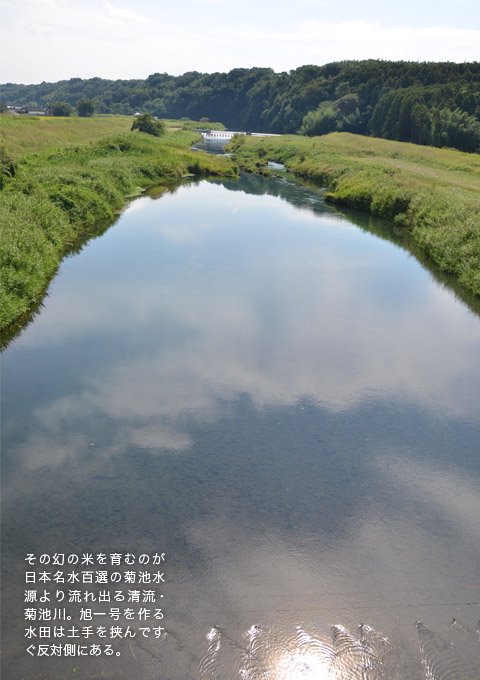 水田そばを流れる清流・菊池川の写真