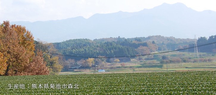 中尾さんのはっさくの生産地である熊本県菊池市森北の写真