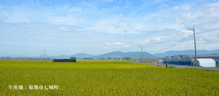 「七城れんげ米」の生産地である菊池市七城町の写真