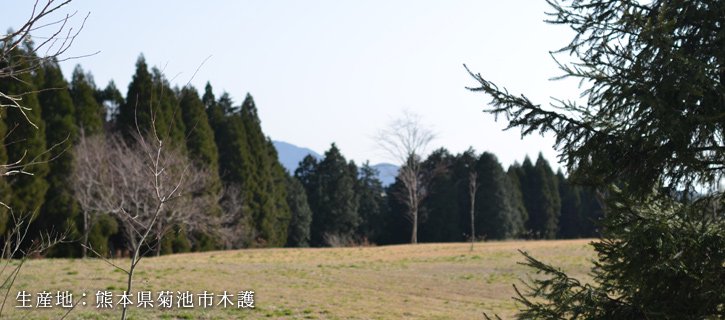 きくち村の白大豆納豆（熊本県産自然栽培フクユタカ大豆使用）100g×5個セット - 自然派きくち村