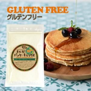 きくち村 Ikushiro オルガ パンケーキミックス 農薬不使用原料使用 150g