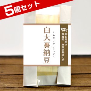 きくち村の白大豆納豆（熊本県産自然栽培フクユタカ大豆使用）100g×5個